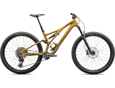 Stumpjumper large best sale