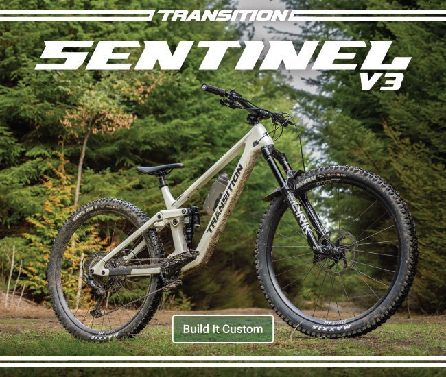 Build Your Transition Sentinel