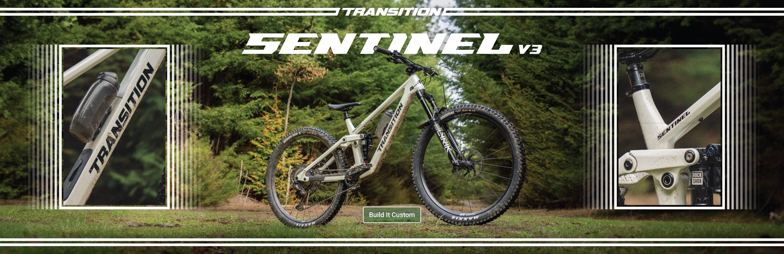 Build Your Transition Sentinel