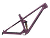 Spur V2 Carbon Frame